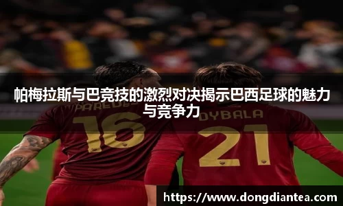 球王会体育官网