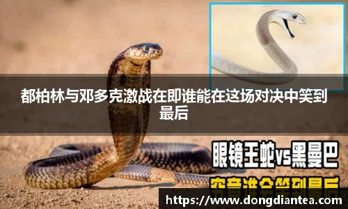 都柏林与邓多克激战在即谁能在这场对决中笑到最后