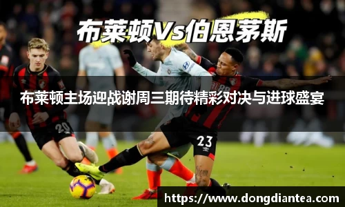 布莱顿主场迎战谢周三期待精彩对决与进球盛宴