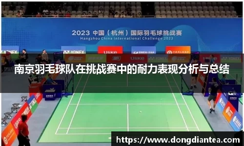 南京羽毛球队在挑战赛中的耐力表现分析与总结