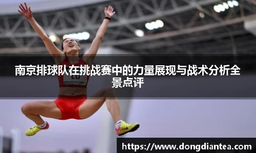 南京排球队在挑战赛中的力量展现与战术分析全景点评