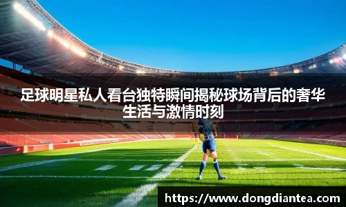 足球明星私人看台独特瞬间揭秘球场背后的奢华生活与激情时刻