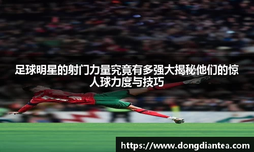 足球明星的射门力量究竟有多强大揭秘他们的惊人球力度与技巧